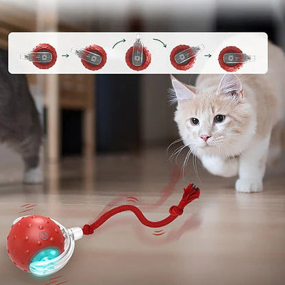 Cat Toy Chirp & Chase Motion Activated Cat Ball with LED Lights